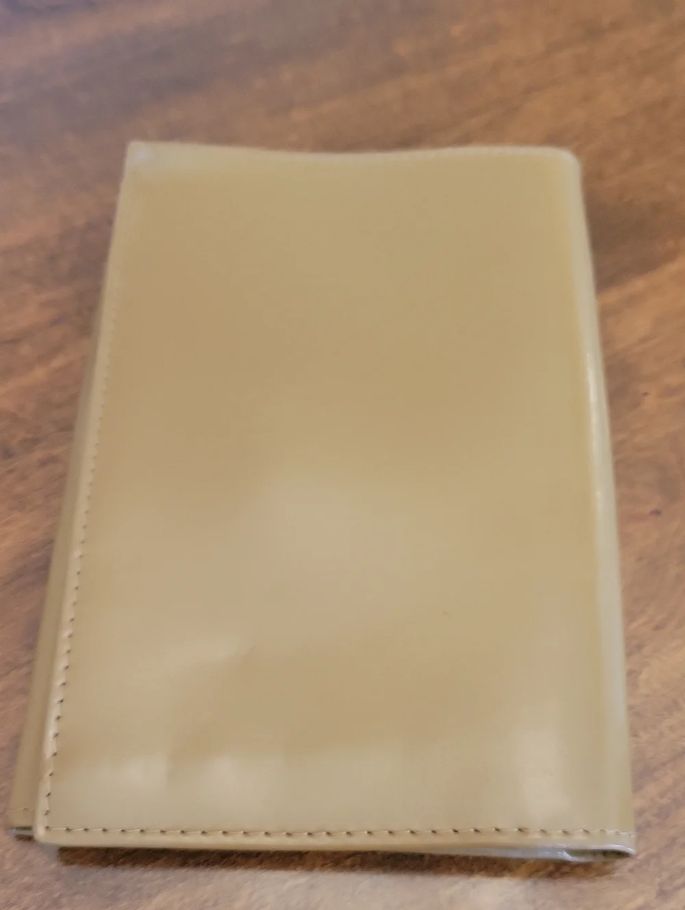 60s German Souvenir Wallet